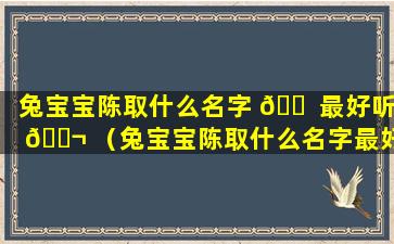 兔宝宝陈取什么名字 🐠 最好听 🐬 （兔宝宝陈取什么名字最好听男孩）